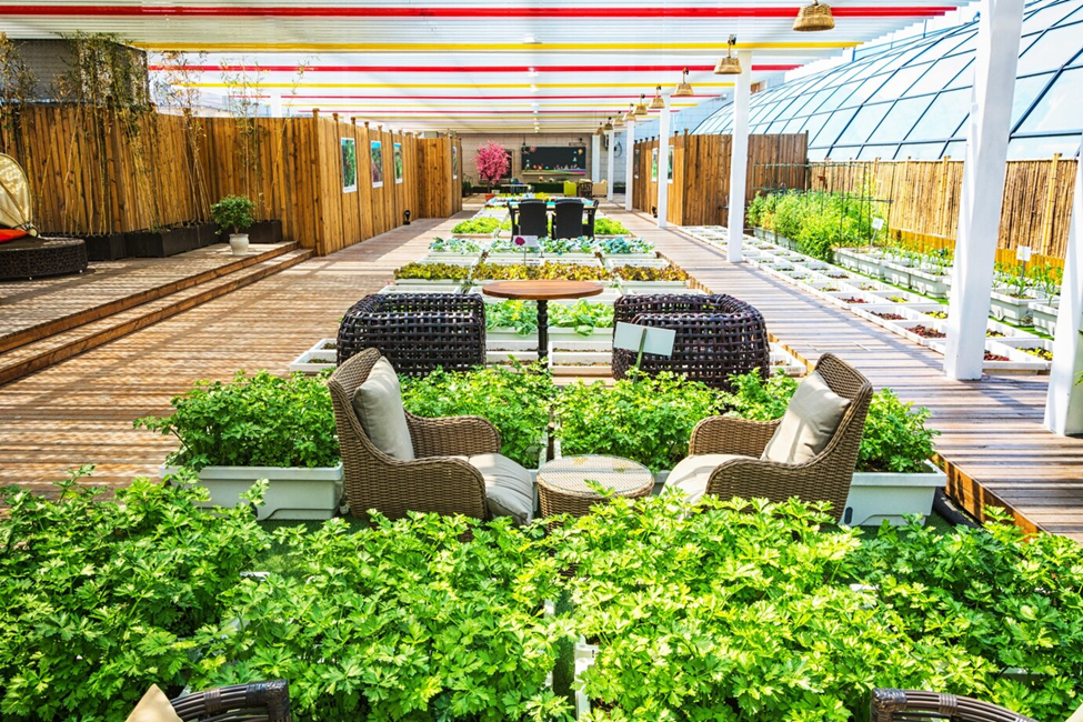 Green Design: Sustainable Practices for Commercial Spaces illustration