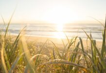 Will Summer Bring Energy Efficiency Challenges This Year?