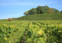 What Makes Compact Track Loader a Unique Machine