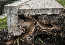 The $1.8 Million Iguana: Why “Invasive-Resistant” Will Define Construction by 2030